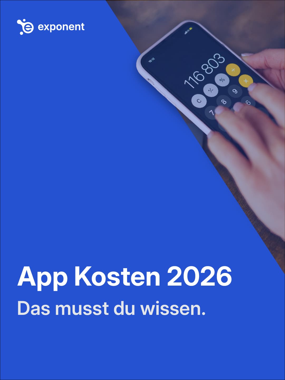 App Entwicklung Kosten Österreich 2026